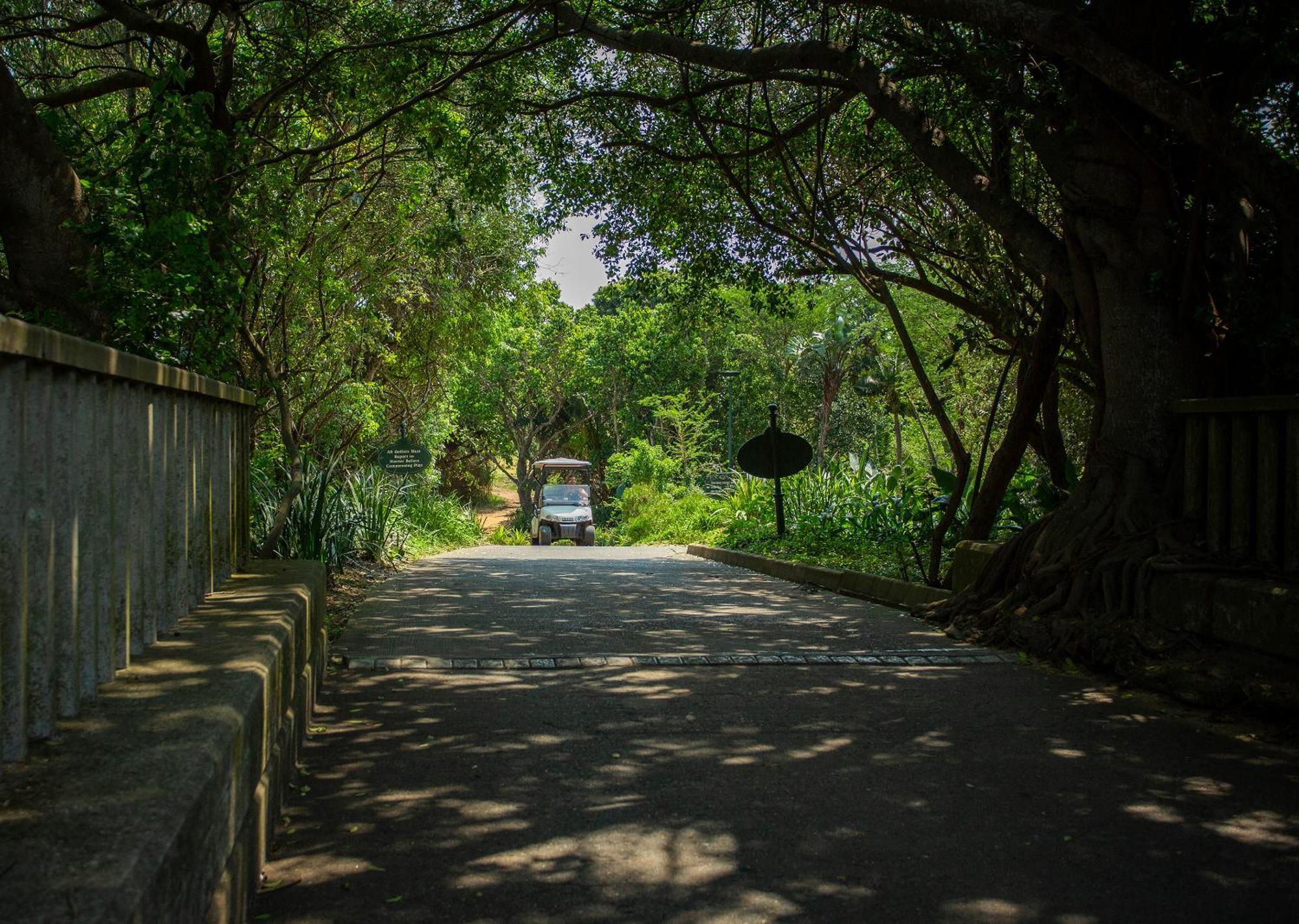 Zimbali Lodge By Dream Resorts uMhlali エクステリア 写真